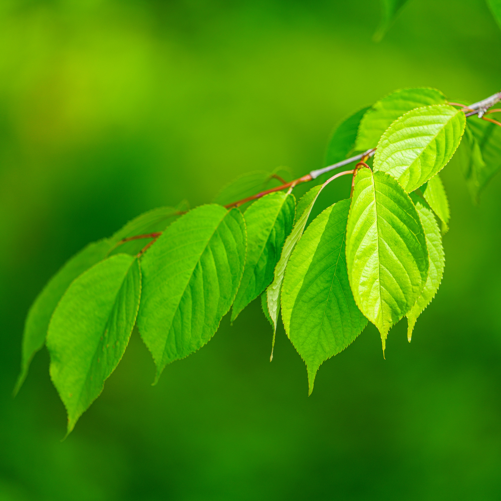 入浴は人生の楽しみ